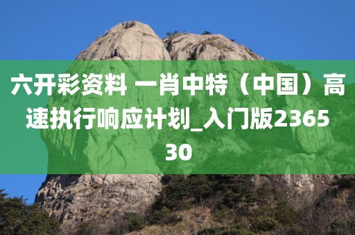 六开彩资料 一肖中特（中国）高速执行响应计划_入门版236530