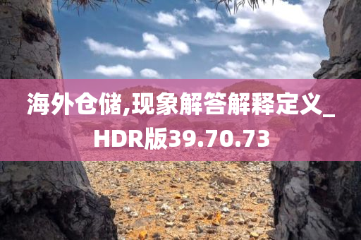 海外仓储,现象解答解释定义_HDR版39.70.73