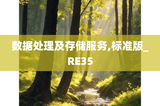 数据处理及存储服务,标准版_RE35