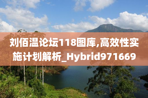 刘佰温论坛118图库,高效性实施计划解析_Hybrid971669