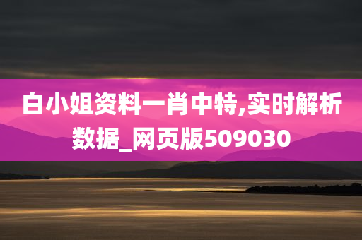 白小姐资料一肖中特,实时解析数据_网页版509030