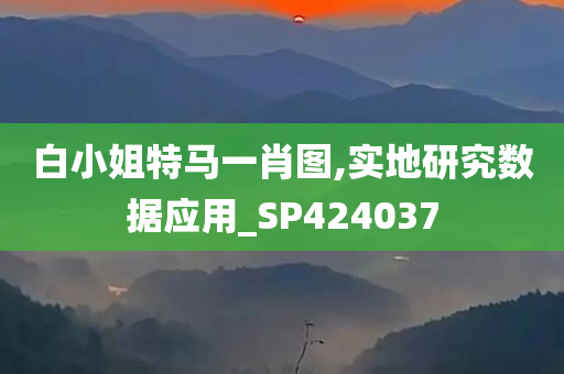 白小姐特马一肖图,实地研究数据应用_SP424037