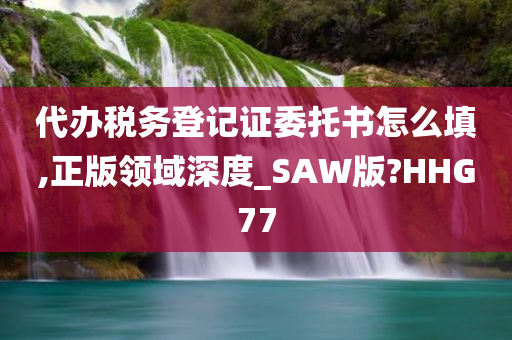 代办税务登记证委托书怎么填,正版领域深度_SAW版?HHG77