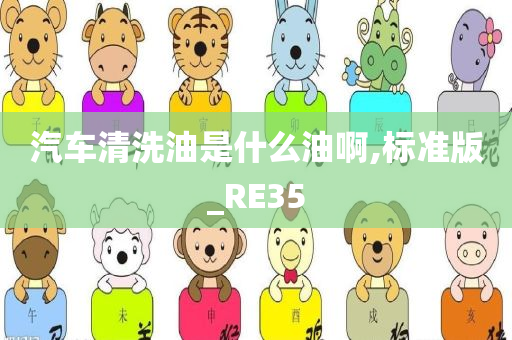 汽车清洗油是什么油啊,标准版_RE35