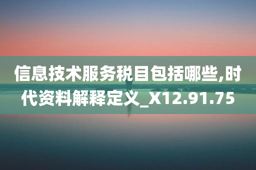 信息技术服务税目包括哪些,时代资料解释定义_X12.91.75