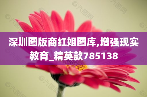 深圳图版商红姐图库,增强现实教育_精英款785138