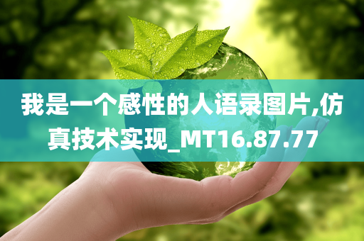 我是一个感性的人语录图片,仿真技术实现_MT16.87.77