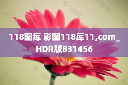 118图库 彩图118库11,com_HDR版831456