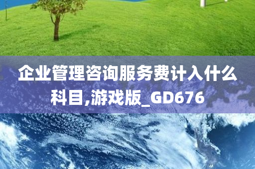 企业管理咨询服务费计入什么科目,游戏版_GD676