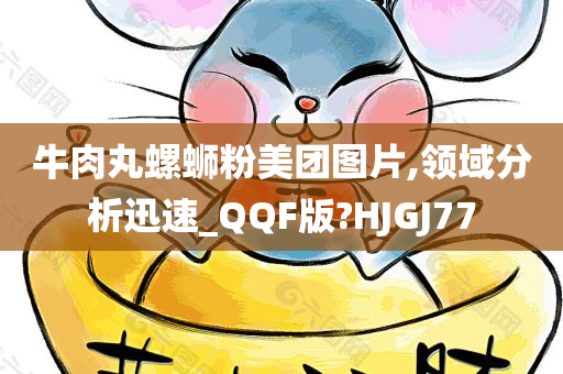 牛肉丸螺蛳粉美团图片,领域分析迅速_QQF版?HJGJ77