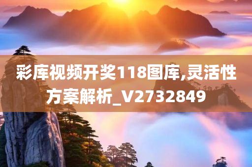 彩库视频开奖118图库,灵活性方案解析_V2732849