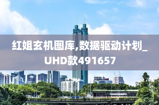 红姐玄机图库,数据驱动计划_UHD款491657