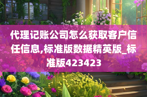 代理记账公司怎么获取客户信任信息,标准版数据精英版_标准版423423