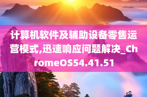 计算机软件及辅助设备零售运营模式,迅速响应问题解决_ChromeOS54.41.51