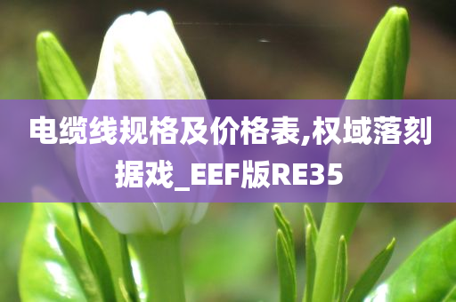 电缆线规格及价格表,权域落刻据戏_EEF版RE35