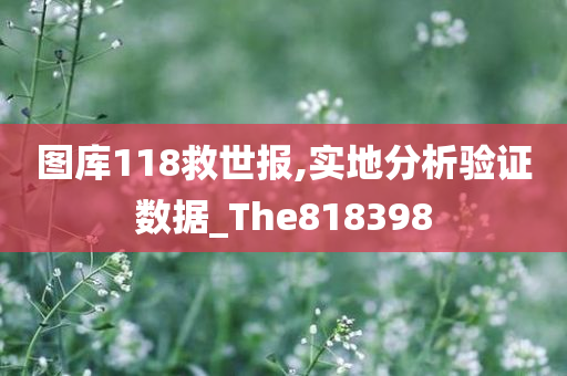 图库118救世报,实地分析验证数据_The818398