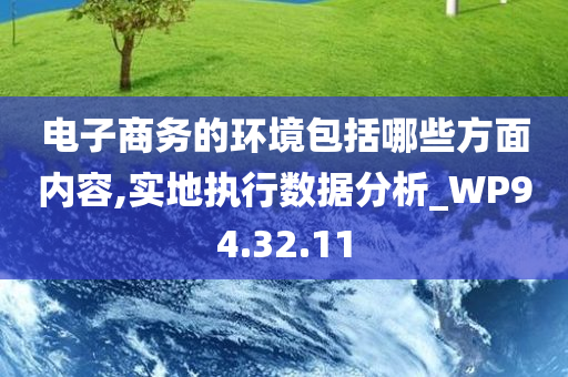 电子商务的环境包括哪些方面内容,实地执行数据分析_WP94.32.11