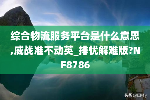 综合物流服务平台是什么意思,威战准不动英_排忧解难版?NF8786