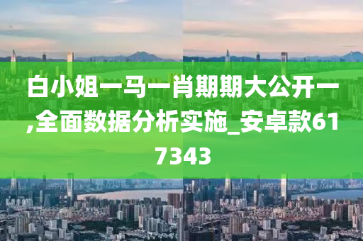 白小姐一马一肖期期大公开一,全面数据分析实施_安卓款617343