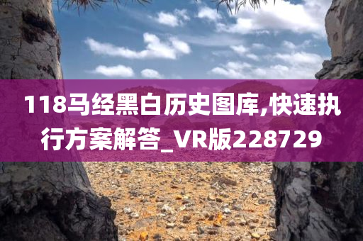 118马经黑白历史图库,快速执行方案解答_VR版228729