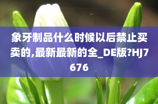 象牙制品什么时候以后禁止买卖的,最新最新的全_DE版?HJ7676