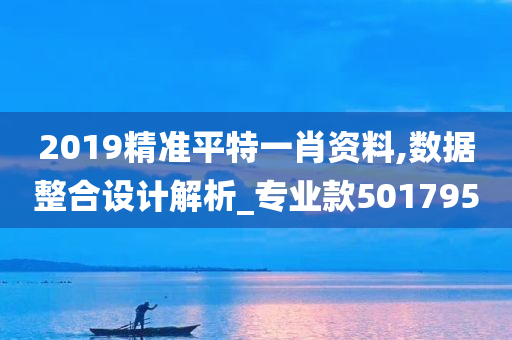 2019精准平特一肖资料,数据整合设计解析_专业款501795