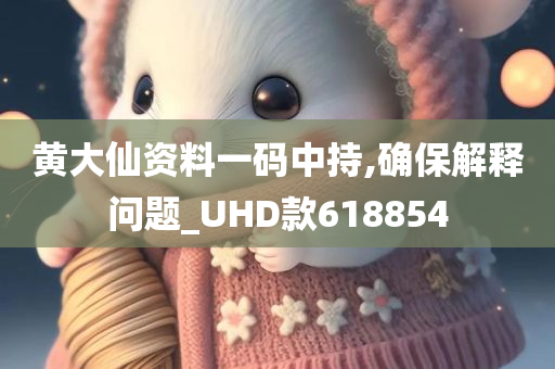 黄大仙资料一码中持,确保解释问题_UHD款618854