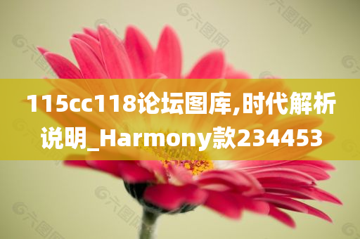 115cc118论坛图库,时代解析说明_Harmony款234453