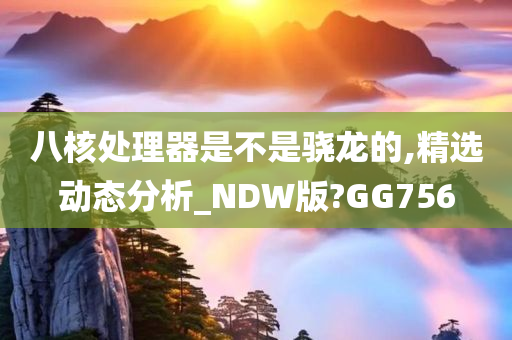 八核处理器是不是骁龙的,精选动态分析_NDW版?GG756