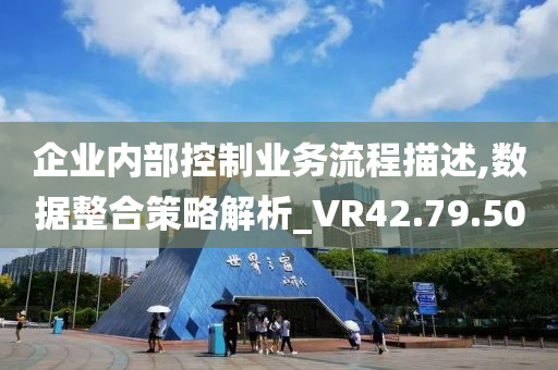 企业内部控制业务流程描述,数据整合策略解析_VR42.79.50