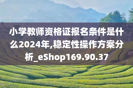 小学教师资格证报名条件是什么2024年,稳定性操作方案分析_eShop169.90.37