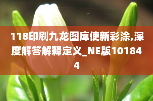 118印刷九龙图库使新彩涂,深度解答解释定义_NE版101844