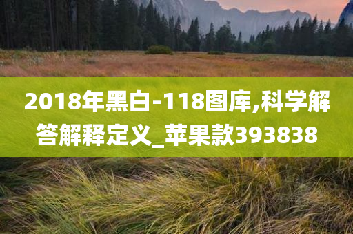 2018年黑白-118图库,科学解答解释定义_苹果款393838