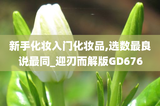 新手化妆入门化妆品,选数最良说最同_迎刃而解版GD676