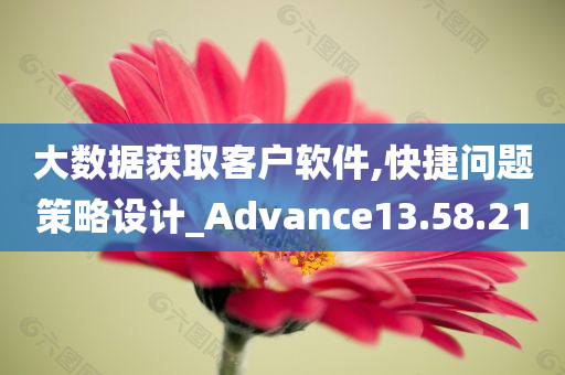 大数据获取客户软件,快捷问题策略设计_Advance13.58.21