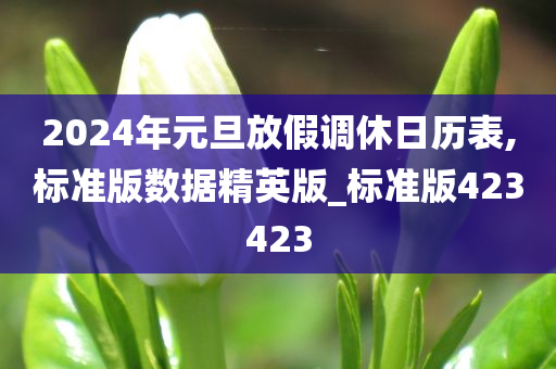 2024年元旦放假调休日历表,标准版数据精英版_标准版423423