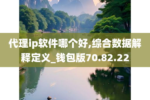 代理ip软件哪个好,综合数据解释定义_钱包版70.82.22