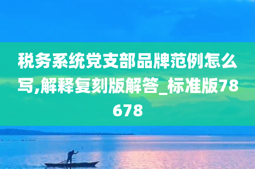 税务系统党支部品牌范例怎么写,解释复刻版解答_标准版78678