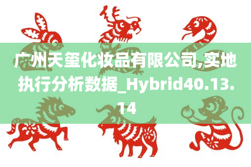 广州天玺化妆品有限公司,实地执行分析数据_Hybrid40.13.14