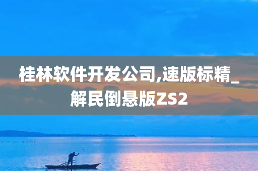 桂林软件开发公司,速版标精_解民倒悬版ZS2