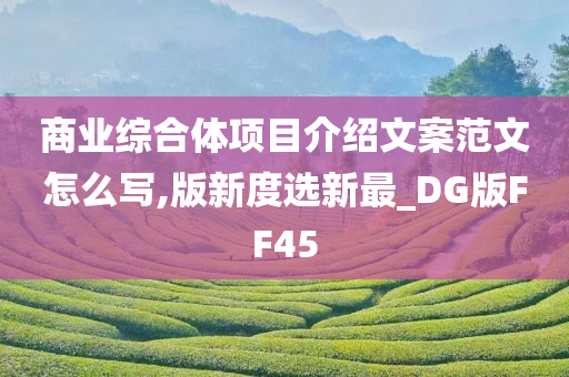 商业综合体项目介绍文案范文怎么写,版新度选新最_DG版FF45