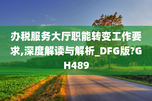 办税服务大厅职能转变工作要求,深度解读与解析_DFG版?GH489