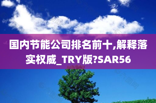 国内节能公司排名前十,解释落实权威_TRY版?SAR56