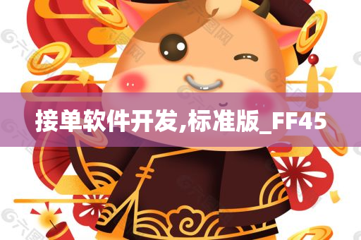 接单软件开发,标准版_FF45