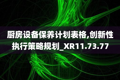 厨房设备保养计划表格,创新性执行策略规划_XR11.73.77