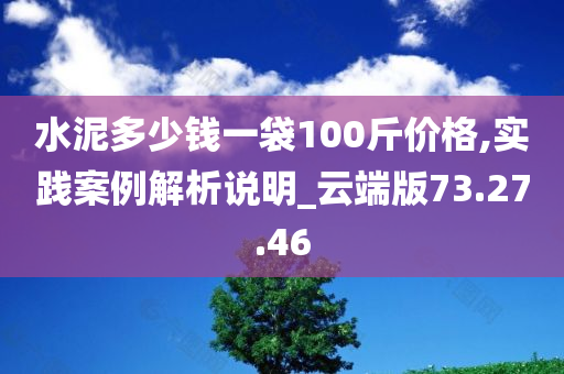 水泥多少钱一袋100斤价格,实践案例解析说明_云端版73.27.46