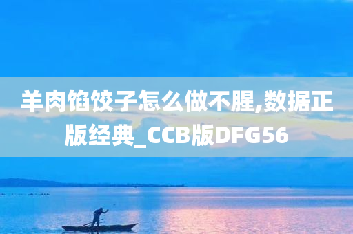 羊肉馅饺子怎么做不腥,数据正版经典_CCB版DFG56