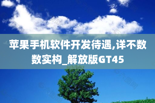 苹果手机软件开发待遇,详不数数实构_解放版GT45