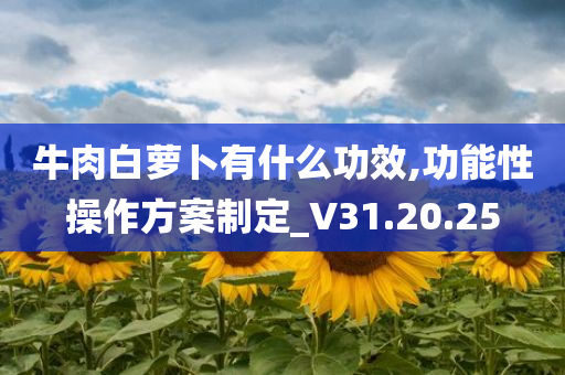 牛肉白萝卜有什么功效,功能性操作方案制定_V31.20.25