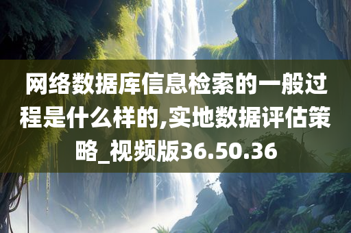 网络数据库信息检索的一般过程是什么样的,实地数据评估策略_视频版36.50.36